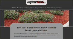 Desktop Screenshot of expressmulchblowing.com